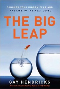 The Big Leap book cover